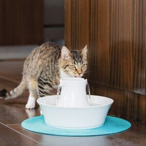 Fontaine En Ceramique Pour Chien Chat Avalon Drinkwell Petsafe Prochasse