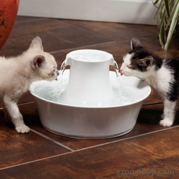 Fontaine En Ceramique Pour Chien Chat Avalon Drinkwell Petsafe Prochasse