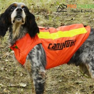 Gilets Chien Chasse