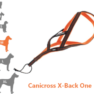 ONE - Harnais Canicross pour moyen chien X-Back idog - ProChasse
