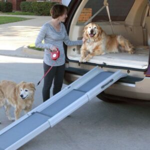 Rampe d'accès voiture pour chien : quel modèle choisir ? Comparatif