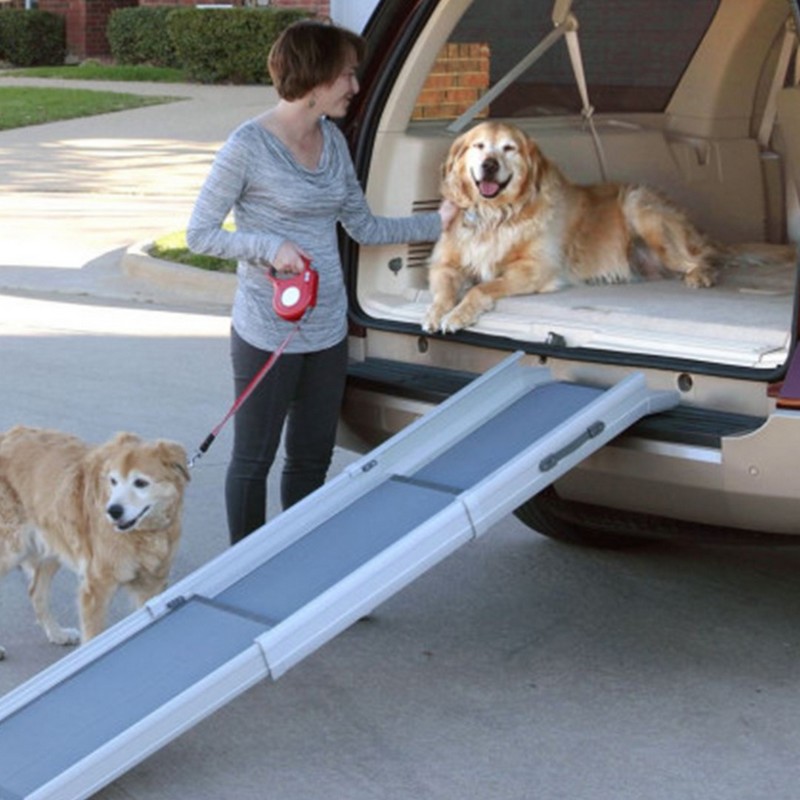 PETSAFE Happy Ride, rampe télescopique de luxe pour chiens – MEUNERIE  DALPHOND