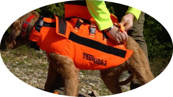 Gilet de protection TECKEL Orange Canihunt Dog Armor V2 Chien de chasse -  ProChasse