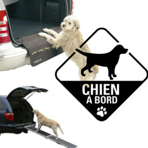 Transport – Voiture accessoires chien