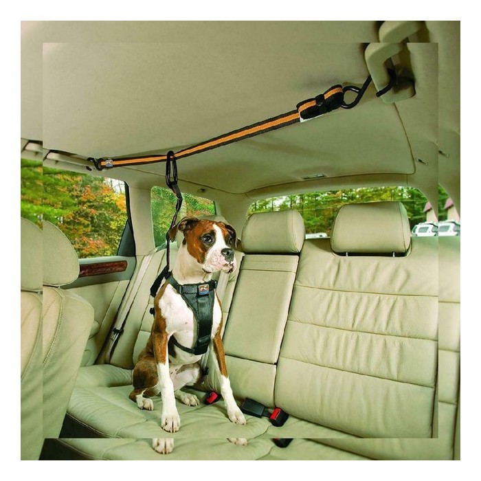 Comment attacher son chien en toute sécurité dans la voiture ?
