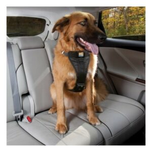 Harnais chien de sécurité voiture - Accessoires de sécurité - Natur'animo -  Notre passion, vos animaux !