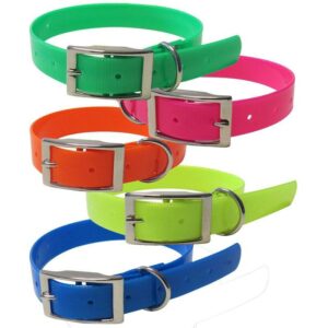 Sellerie chien - Colliers boucles