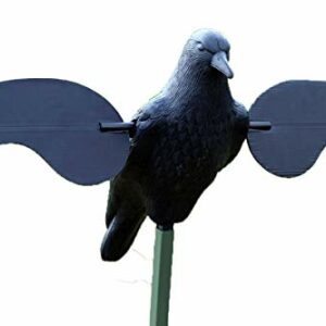 Soldes Januel Tir aux pigeons ou canards 3 pièces 2024 au meilleur