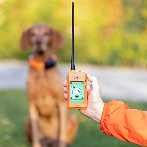 SportDOG - Collier Traceur GPS et de Dressage pour Chien et Système de  Localisation TEK Série 2.0, idéal Chasse - 16 km de portée : :  Animalerie