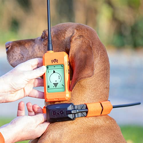 collier GPS chien sans abonnement dogtrace X20 orange
