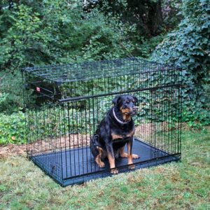 Lucky Dog Uptown Grand enclos pour chien sécurisé pour chenil extérieur  couvert, (lot de 3) 