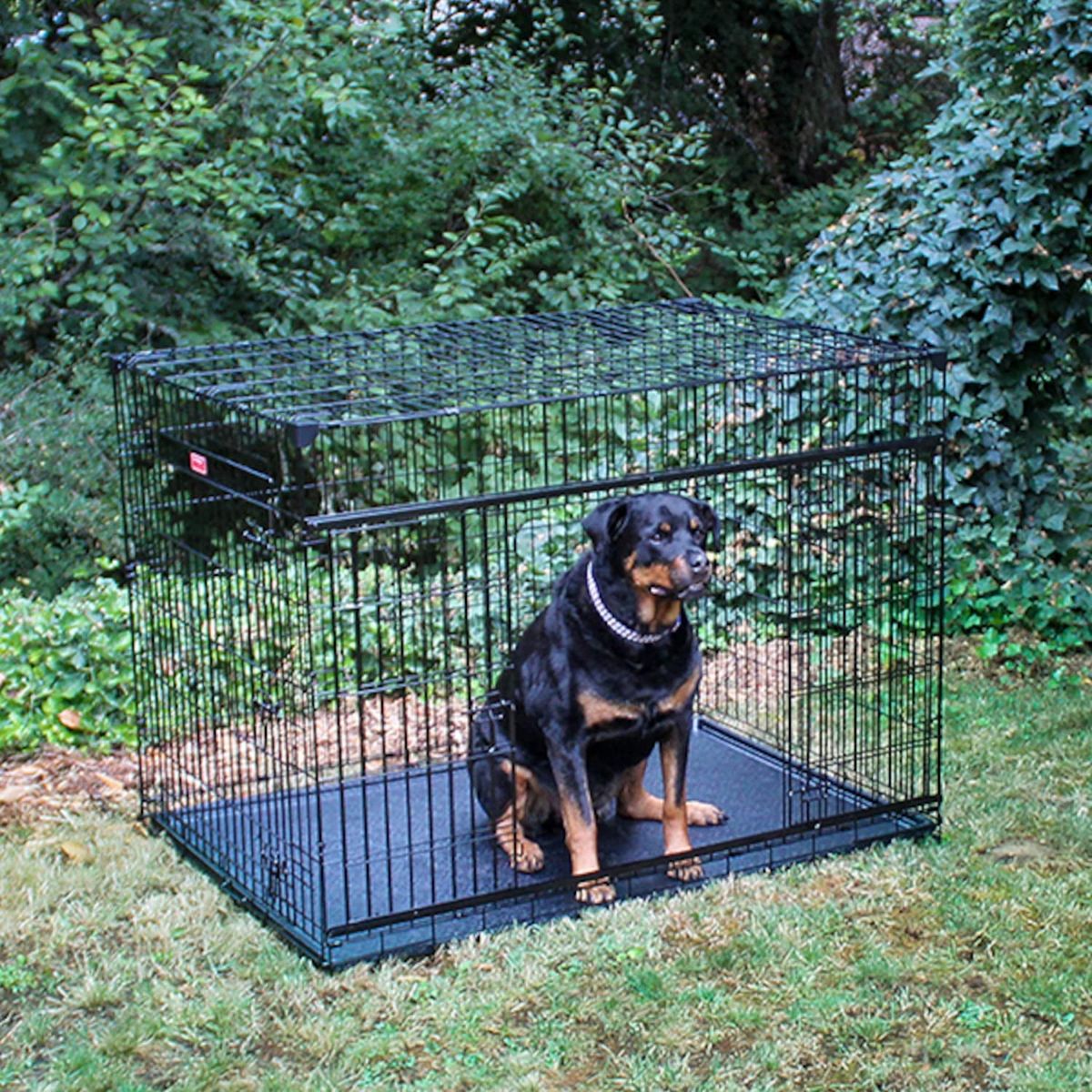 Cage de transport pour chien : fonctionnalités et sécurité