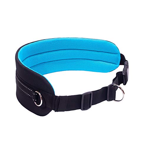 Harnais Canicross Chien Laisse Chien Mains Libres, Ceinture Réglable Gris Et Laisse élastique Laisse Chien Main Libre