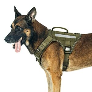 Harnais tactique pour chien et laisse élastique de 4 pieds, harnais pour  chien militaire pour grands chiens moyens, chasse, entraînement - 