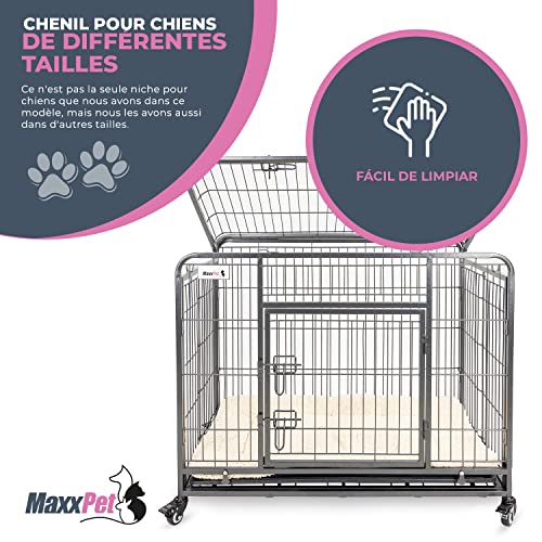 MaxxPet Cage pour Chien - Caisse Transport Chien - Pliable en